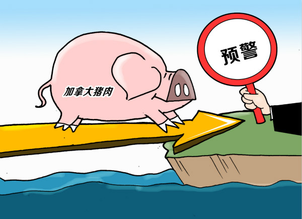 兽药残留检测仪 兽药残留检测仪