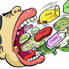 高智能食品安全检测仪 高智能食品安全检测仪