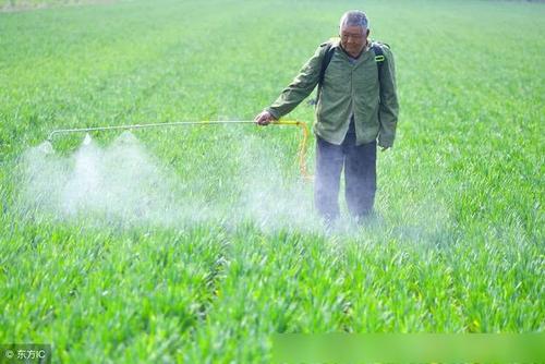 多通道农药残留检测仪