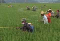 有机时蔬会不会有农药残留呢？