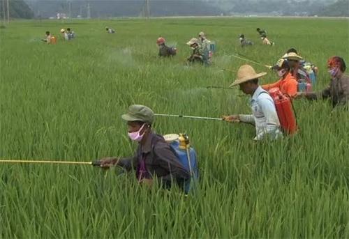 农药残留检测仪 农药残留检测仪