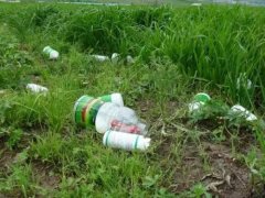 农药残留速测仪能够很好的完成蔬菜检测工作